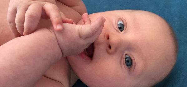 Babys in Bewegung Maxi